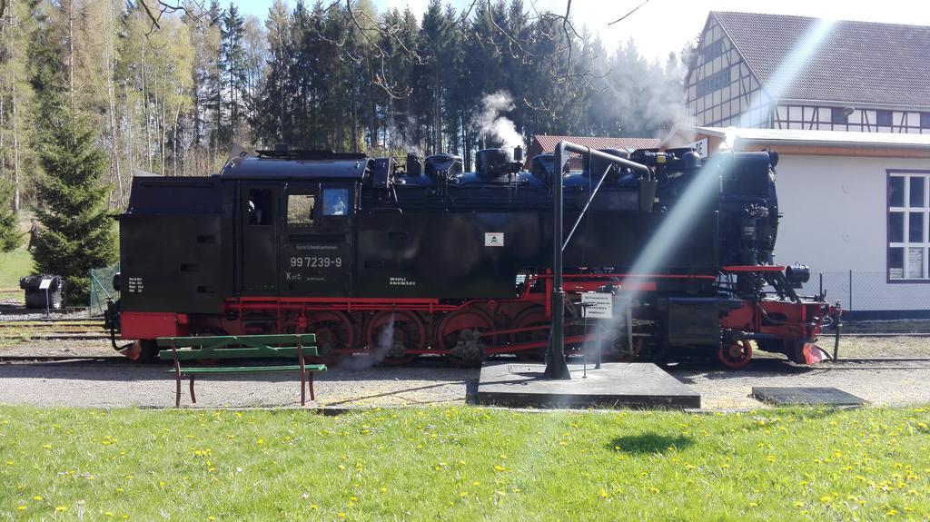 Ferienwohnung Harzluchs Hohegeiß Exterior foto